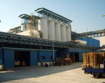 2008 삼성코닝 구미사업장.jpg